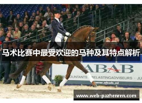 马术比赛中最受欢迎的马种及其特点解析