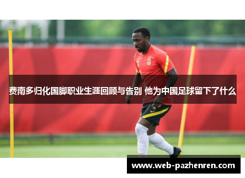 费南多归化国脚职业生涯回顾与告别 他为中国足球留下了什么